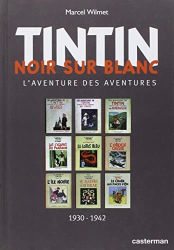 Tintin noir sur blanc
