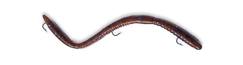 Ike-Con Weedless Worm