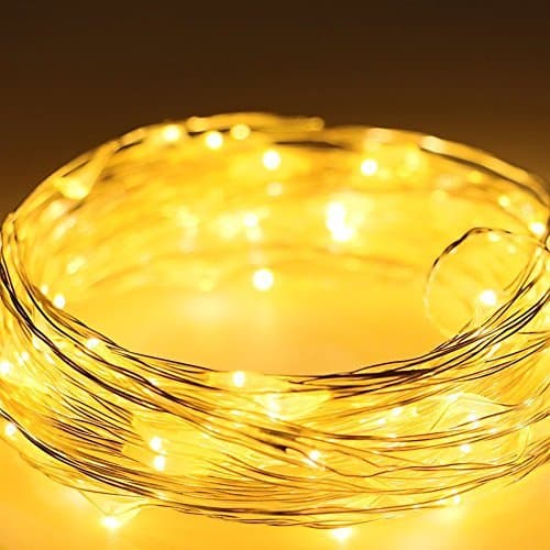 KCRIUS(TM) 33Ft Warm White Silver Coating Copper Wire LED Starry Lights with 100 Individual Leds For Home Garden Decoration, With 12V DC Adapter