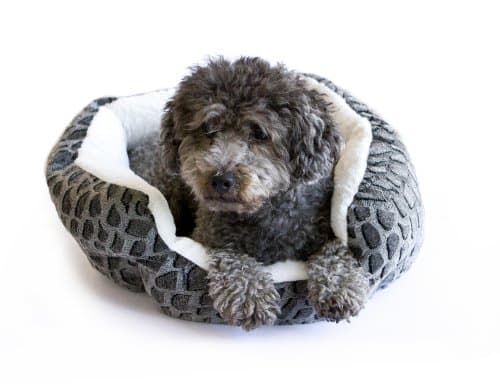 Danazoo Textured Cuddler Pet Bed, Black