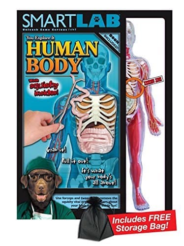 Smart Lab Squishy Human Body with Free Storage Bag