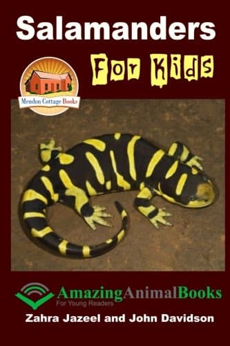 Salamanders For Kids