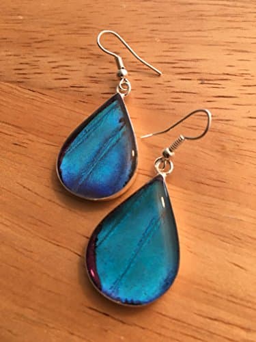 Blue Morpho Butterfly earnings