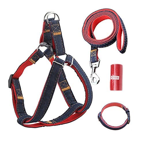 Dog Leash Harness Adjustable Durable Leash Set Heavy Duty Denim Pet Leash Collar for Dogs of All Sizes Perfect for Daily Training Walking Running (Small, Red)