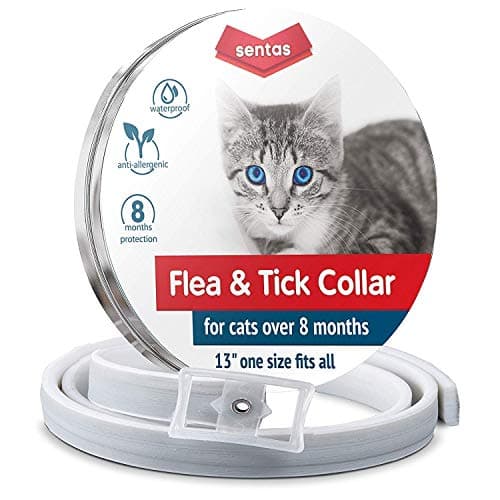 Flea and Tick Prevention for Cats | Cat Collar | Cat Flea Collars | Flea Tick Prevention | Cat Flea Treatment | Flea Protection | Pet Flea Collars | Fleas Ticks for Flea Control Cats Kittens