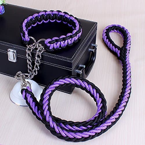 ACCENTORY Dog Nylon Adjustable Loop Slip Leash Rope Lead 1.2m Pet Products Remington Rope Slip Dog Leash 6-Feet Training Leashes (M(1.5cm), black-purple)