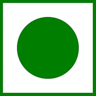 ZM Moringa Seed powder/Murungai Vidhai powder/Drumstick Seed Powder - 100 gm