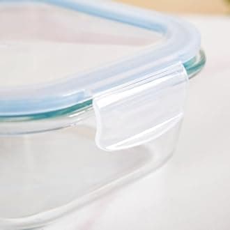 Nestasia Glass Lunch Box for Men & Women (Set of 3, S-300ml, M-500ml, L-800ml) - Borosilicate Glass Containers with Airtight Clip Lock Lids - Microwave, Dishwasher, and Refrigerator Safe, Blue