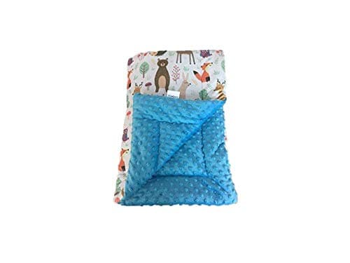 KidzCrowd Small Minky Dot Fabric Soft Touch Personalized Blue Design Cartoon Velvet Baby Quilt