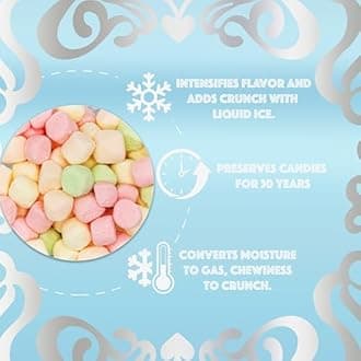 Fairyland Sweets Freeze Dried Candy Mallow Bites Rainbow – Fun, Crunchy Freeze Dried Marshmallows mini assorted strawberry, lemon, orange and lime flavors – 2.0 oz - Resealable Bag (Pack of 02)