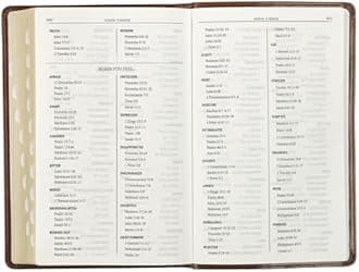 KJV Gift Edition Bible Brown
