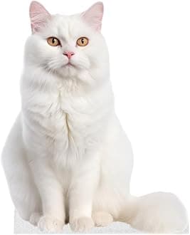 CAT - Snow Lynx - Life Size Cardboard Cutout Standup People with Support Standee | Animals -