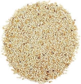 obbi fresh Poppy Seeds Khus Khus, Posta Dana 50 gm