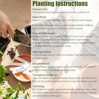 Zoysia Grass Seed for Planting, 1000 Non-GMO Heirloom USA Sourced for Home Garden Outdoor Indoor