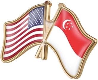 USA American and Germany Deutschland Friendship Flag Cross Connection Pin Brooch Badge for Hat Cap Clothing Backpack Pin