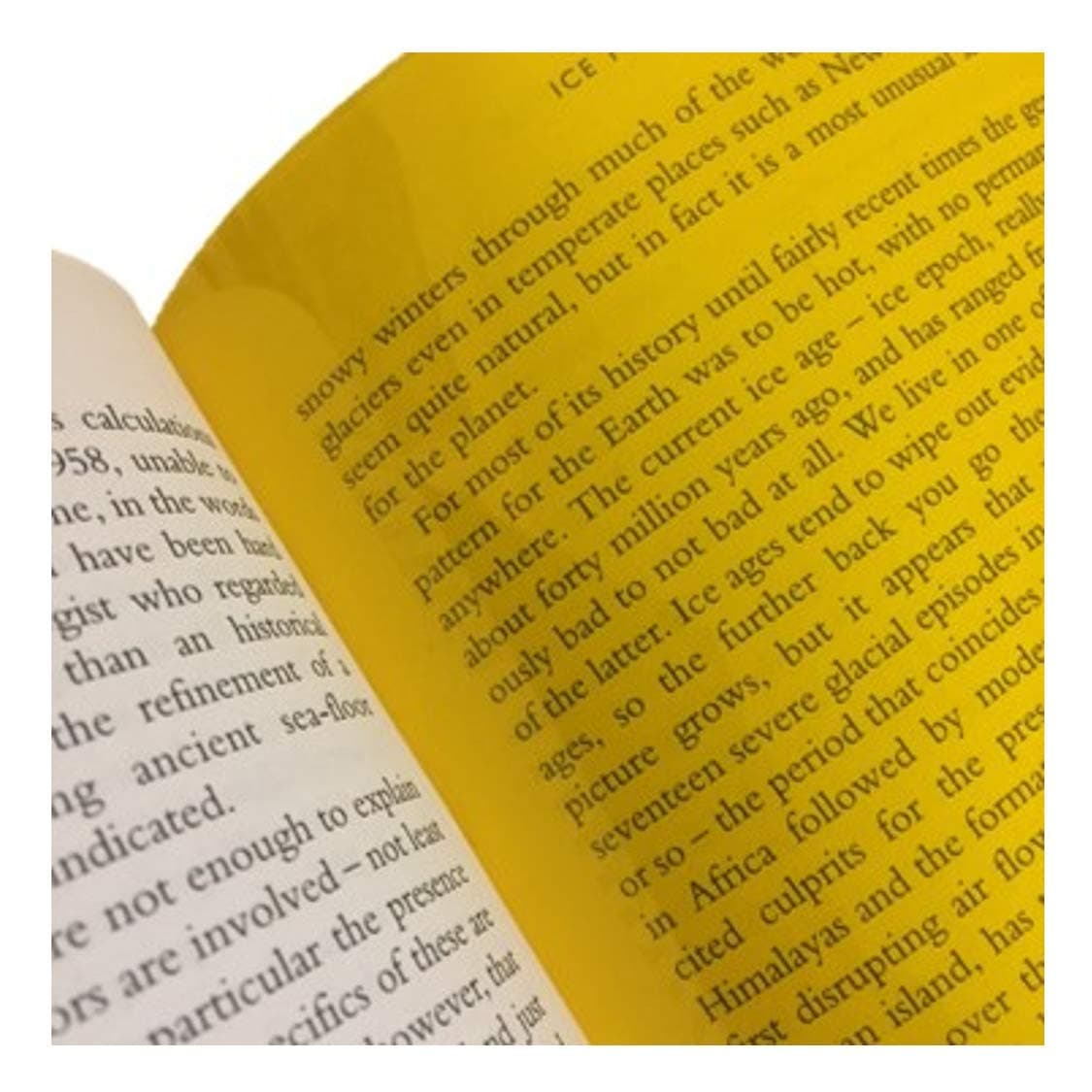 A5 Yellow Overlay - 4 Pack