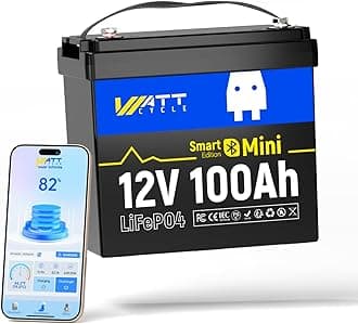 WattCycle LiFePO4 Deep Cycle Lithium Battery 12V 100Ah with Bluetooth, 15000 Cycles, Max Power 1280W, BMS 100A, Low Temperature Protection, Perfect Replacement