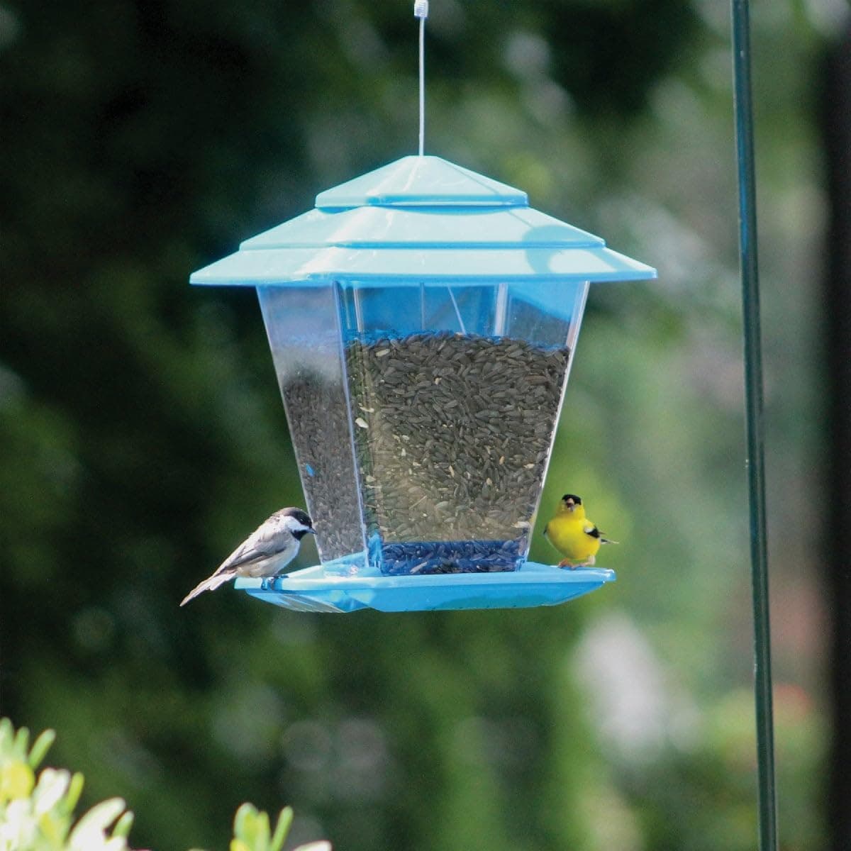 Seed Tube Feeder, One Size