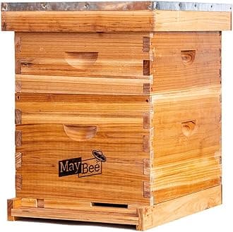 10Frame Beehive Include 1 Deep Boxes 1 Super Box with Beehive Frames &Foundation