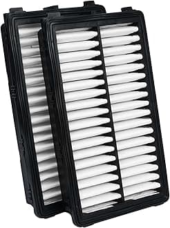 Cartist 28113L1000 Replacement Engine Air Filter Compatible with Hyundai Tucson/Kia Carnival/Santa Cruz 2022-2023 2024, Santa Fe/Sonata/Kia K5 2021-2023 2024 Automotive Air Filters (2 Pack)