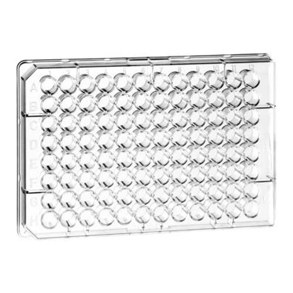 Greiner Bio-One 655101 Clear Polystyrene Microplate, Non-Sterile, Flat Bottom, 96 Well (Pack of 100)