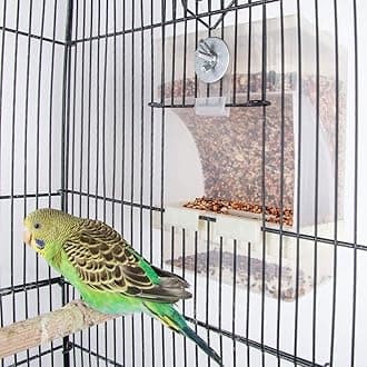 Parrot Automatic Feeder,No-Mess Bird Feeder,Cage Accessories for Budgerigar Canary Cockatiel Finch Parakeet Seed Food Container by Old Tjikko (Screw-Fixed Bird Feeders)