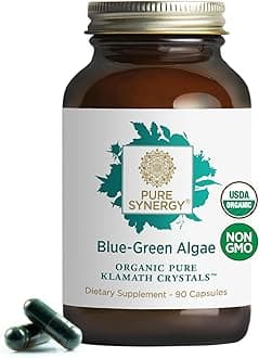 PURE SYNERGY Blue-Green Algae Capsules | Superfood with Chlorophyll | Organic Superfood Supplement from AFA Blue Green Algae | Supports Energy, Mental Clarity, and Detoxification (90 Capsules)