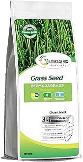 Navika Seeds ; Grow With Us, Original and Pure Bermuda Grass Perfect Grass Seeds For Making Lawn, Turf, Cricket ground, Park, Farm House, Stadium, Sports Fields & Gardening (100 Grm)