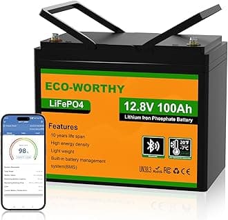 ECO-WORTHY 12V 100AH LiFePO4 Lithium Battery with Bluetooth, Max.1280Wh Energy, Low Temperature Protection, Group 24, Built-in 100A BMS, Perfect for Trolling Motor, RV, Boat, Solar Off-Grid