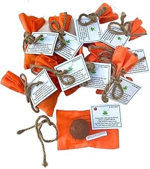 Sow and Grow Seed Balls of Wildflower Seeds | Set of 10 Individually Packed Beej Balls | Eco-Friendly Gardening Kit | Sustainable Green Gifting | Easy to Grow Flower Mix