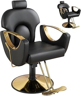 Barber Salon Chair for Hair Stylist,Height Adjustable Hair Chair with Professional Hydraulic PUM,Multi-Function Shampoo Tattoo Beauty Salon Hairdresser Armchair for Barbershop(Black)