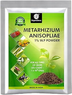 - OrganicDews Metarhizium anisopliae 250 g (1x10^8 CFU/g) for Plants 250 g