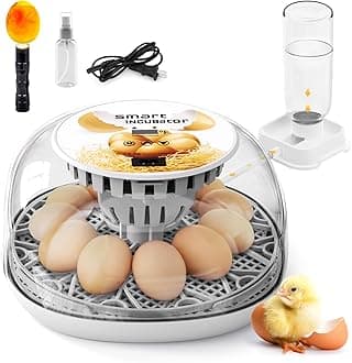 Egg Incubator for Hatching Chicks, Automatic Egg Turner Holds 12 Eggs, Smart Incubator 360° Clear Window with Temperature Display Egg Candler for Small Poultry Chickens Ducks Quails Eggs