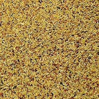 SkyGold Budgie Tonic 12.5Kg Cage and Aviary Food