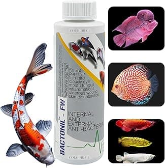BACTONIL –FW Freshwater Anti-Bacterial Solution for Aquarium Fish | for All Common Diseases of flowerhorn, arowana and Discus (BACTONIL –FW, 220ml), Pack of 1