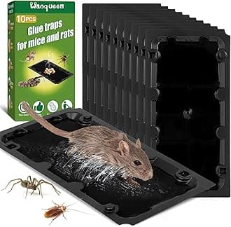 10 Pack Sticky Mouse Trap Rat Trap Indoor, Peanut Taste Pheromone Mouse Traps Indoor for Home, Glue Sticky Traps for Mice and Rats, Snake(Large Size)