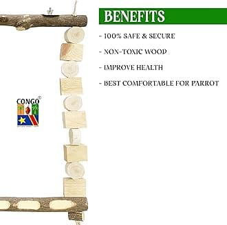 CONGO - NATURAL PARROT TREAT Wooden Decorative Swing Toy for for African Grey, Macaw, Cockatoos, Amazon and Other Big Birds (Piece of 1)