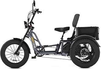 Tour Lite 1200W Rear Drive Electric Tricycle for Adults, 48V 20AH Fat Tire Electric Trike, 25MPH 110Miles, Full Suspension Etrike, Torque Sensor, Reverse & Parking, 550lbs Load (with Upgraded Parts)