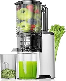Cold Press Juicer, 5.8" Wide Feed Chute Juice Extractor Machine with 400W, High Juice Yield, Slow Masticating Juicer for Whole Vegetables & Fruits, Metallic Silver