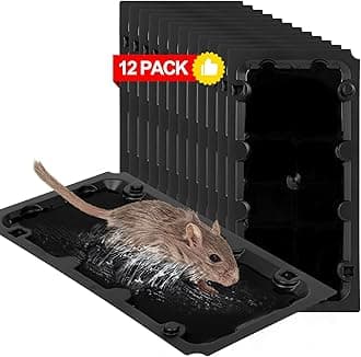 Wanqueen 12 Pack Sticky Mouse Trap Rat Traps Indoor, Peanut Taste Pheromone Mouse Traps Indoor for Home, Glue Sticky Traps for Mice and Rats, Snake(Large Size)