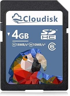 SD Card 4GB SDHC Class 6 Flash Memory Card 4 GB Digital Camera Cards (4 GB)
