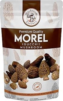 Mushroom Essence Morel Mushroom (10g) Dried Wild Harvested Nature | Gucchi Mushroom | (Pack of 1) Jumbo Size