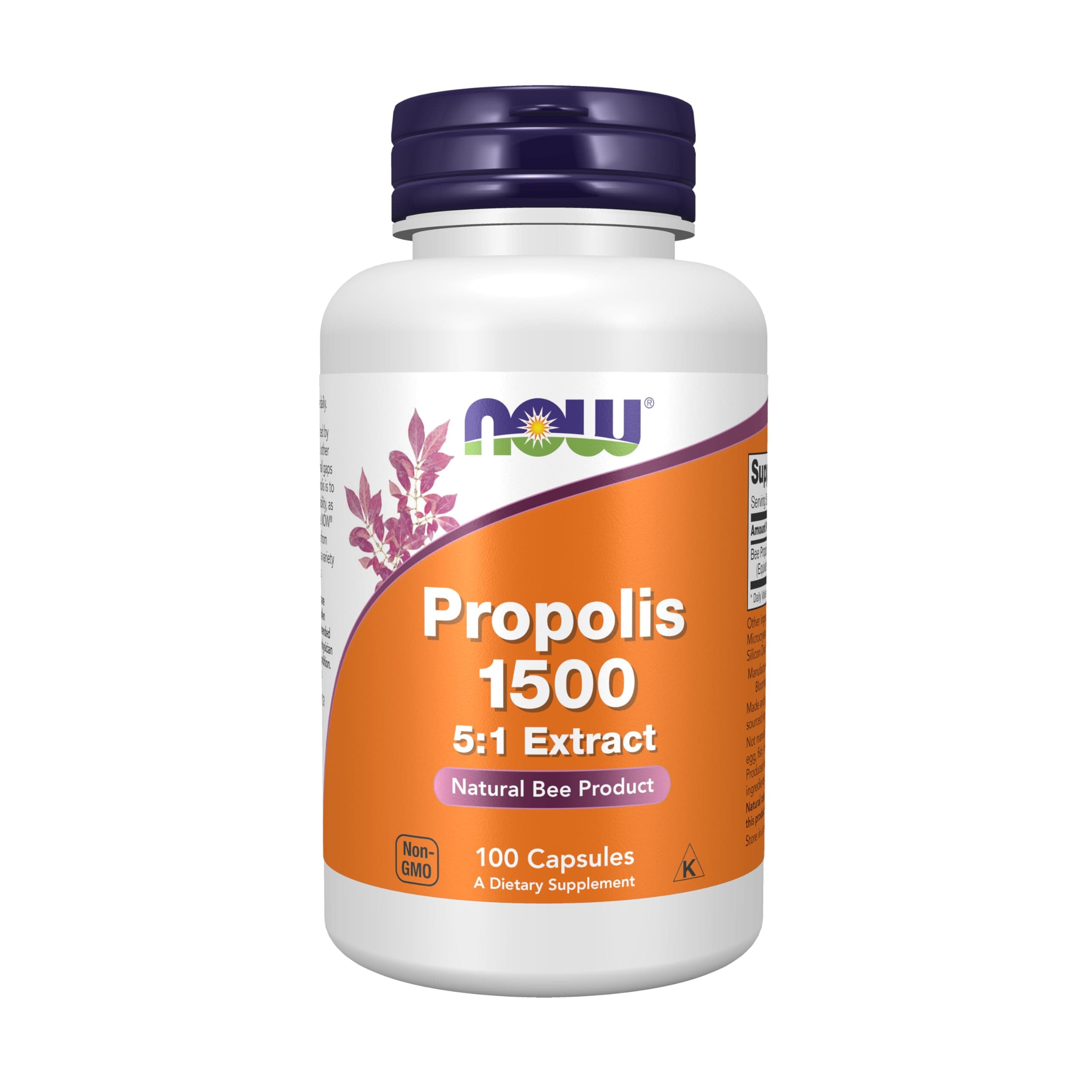 NaFoods Propolis 1500 mg 100 Tablets
