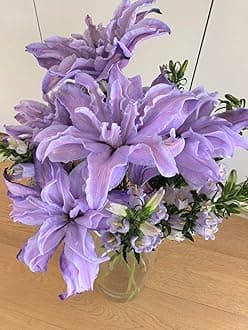 SVG® Double Oriental Lily Flower Bulbs for Home and Gardening, pack of 5 Bulbs (PURPLE)