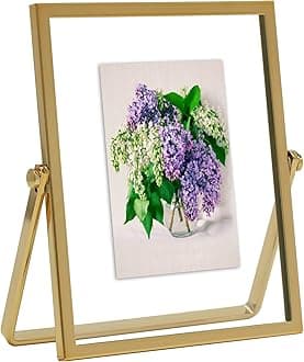 MIMOSA MOMENTS Gold Metal Floating Picture Frame (Gold, 2x3)