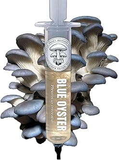 Blue Oyster (Pleurotus ostreatus) Liquid Culture 20mL | Spawn Mycology