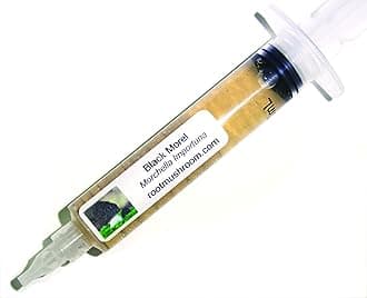 Root Mushroom Farm-Mushroom Liquid Cultures/Black Morel(Morchella importuna)