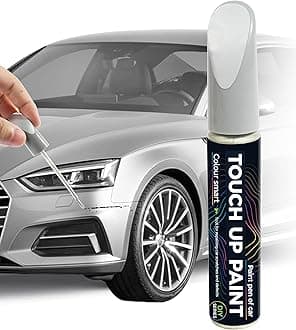 bylikeho Paint Pen,Touch Up Paint Pen,Car Accessories,Erase Car Scratches,Car Paint,Car Paint Scratch Repair,Touch Up Paint for Cars,Car Scratch Remover Pen,Quick and Easy Car Scratch Repair (Silver)