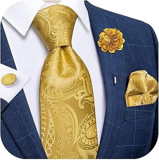 Silk Ties for Men Necktie and Lapel Pin Brooch Set Formal Woven Paisley Plaid Striped Solid Tie Wedding Party