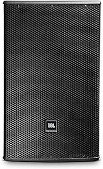 Professional AC299 Two-Way Full-Range Loudspeaker with 12-Inch LF, Black